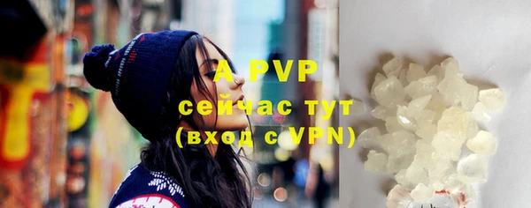 ECSTASY Пересвет